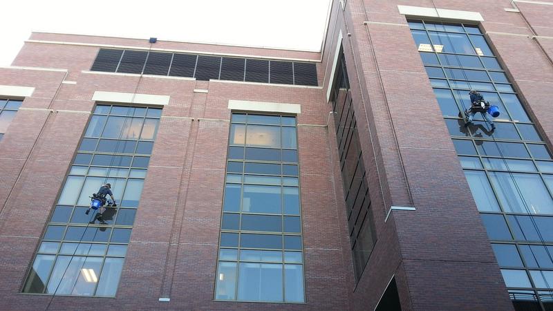 Streak-free commercial window cleaning on an Adelaide shopfront